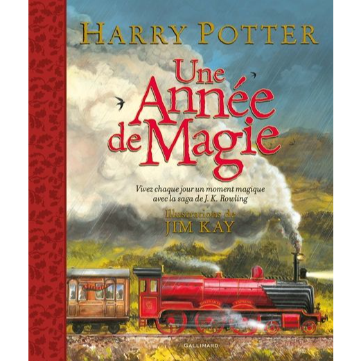 HARRY POTTER UNE ANNÉE DE MAGIE - JIM KAY